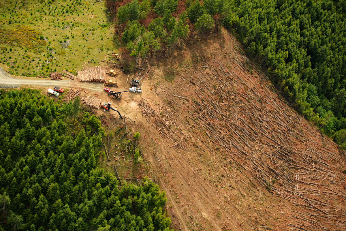 Forest and watershed landscape representing natural resources recognized under IPSAS 51