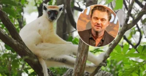 A $200 Million Conservation Initiative Targets 100 Species on the Brink