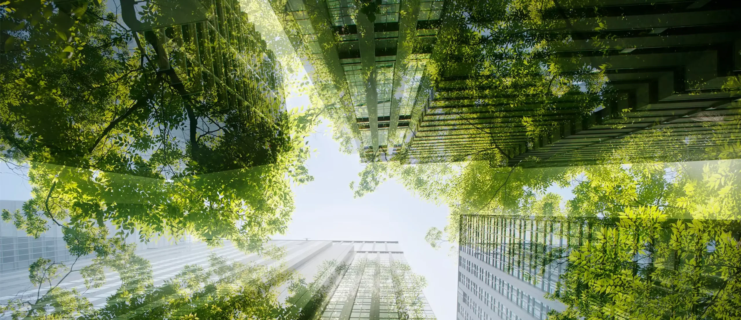 U.S. Sustainable Funds Break a Three-Year Losing Streak as Grid Investment Surges