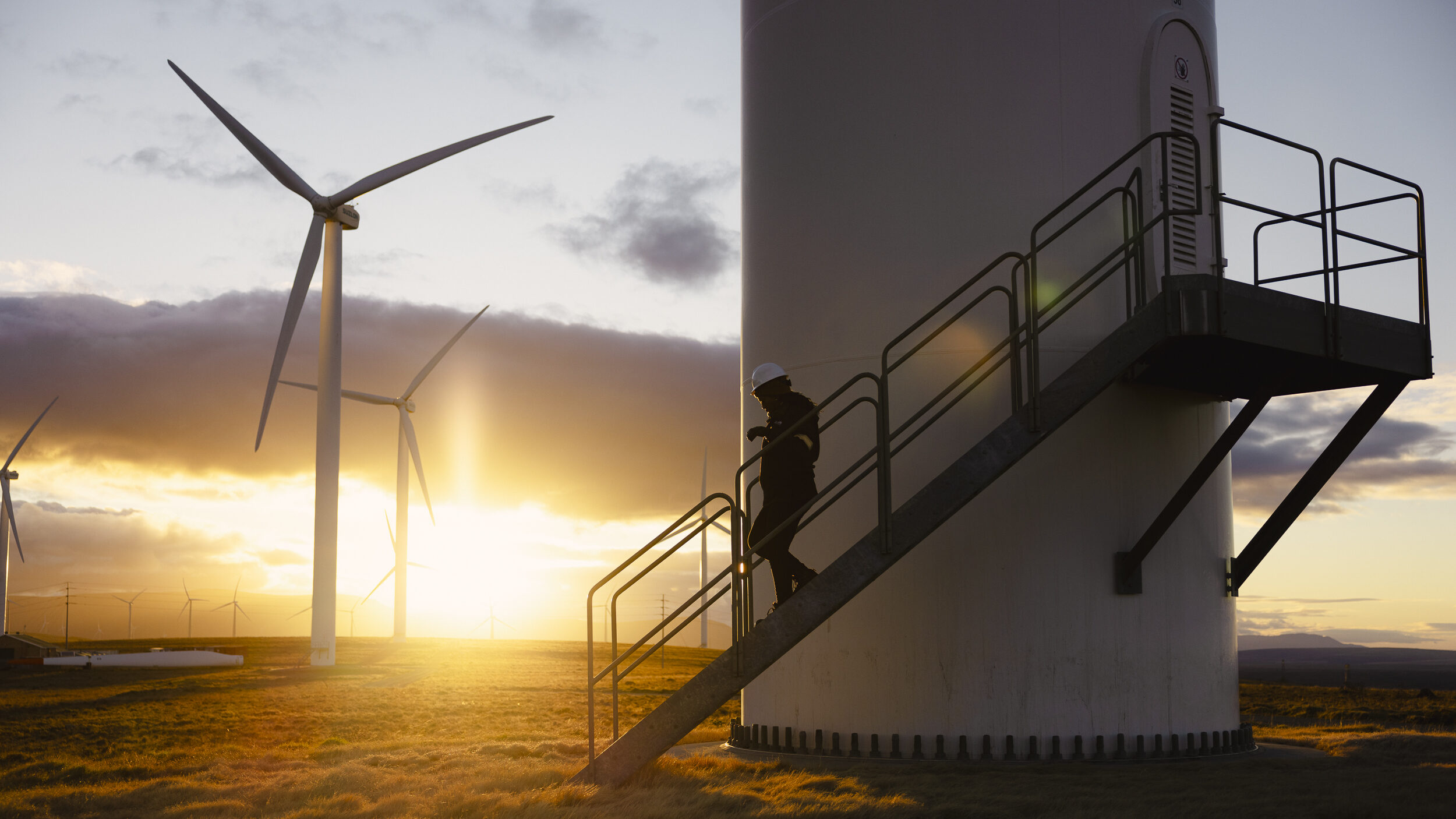 Wind turbines and grid infrastructure representing pension fund transition investment