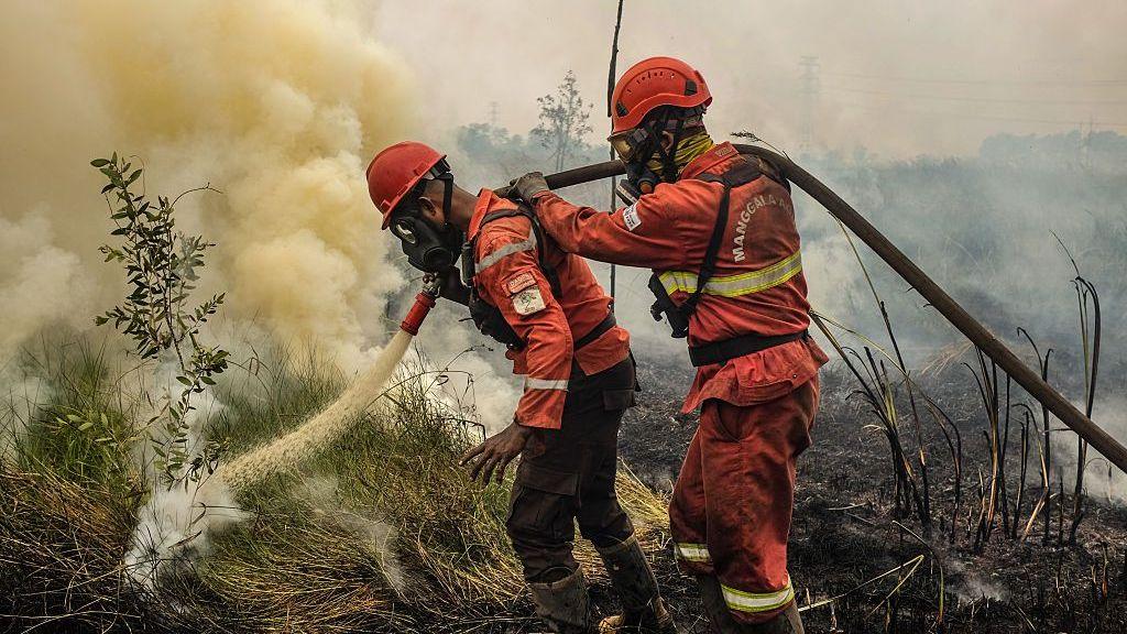 Indonesia Wildfire Regional Crisis